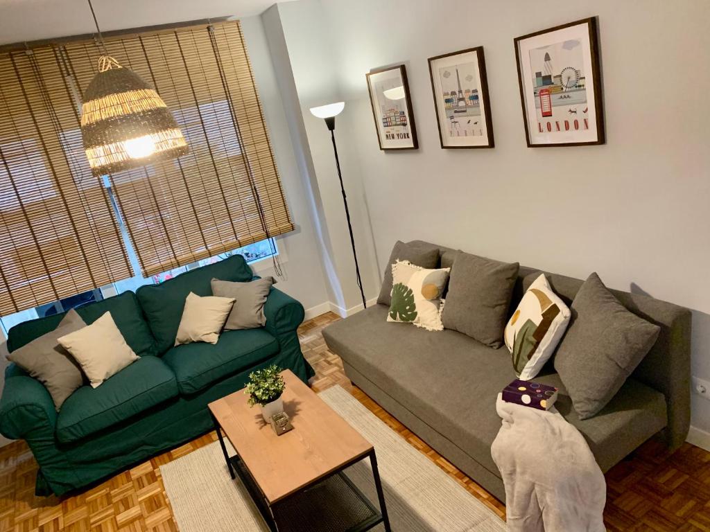 een woonkamer met een groene bank en een hond bij Apartamento con garaje a un paso de la playa in Gijón