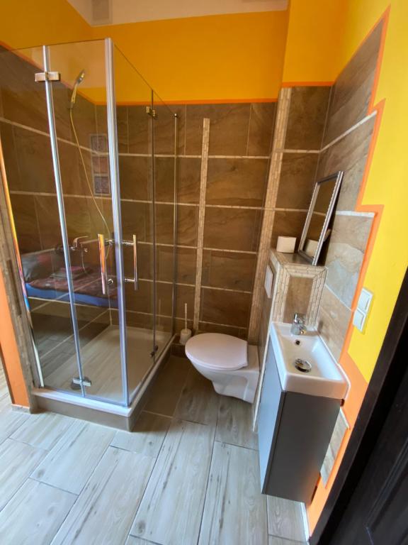 Pension SXF - Camera Singola Con Doccia