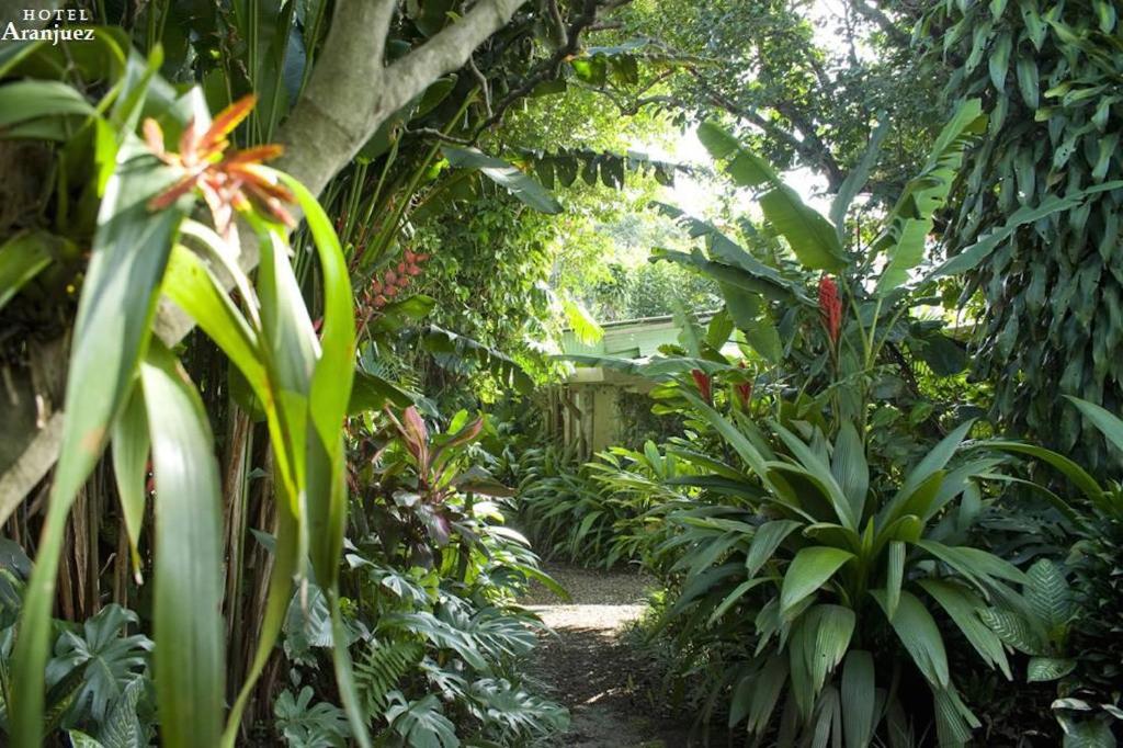 a garden with green plants and a wooden fence at Hotel Aranjuez in San José