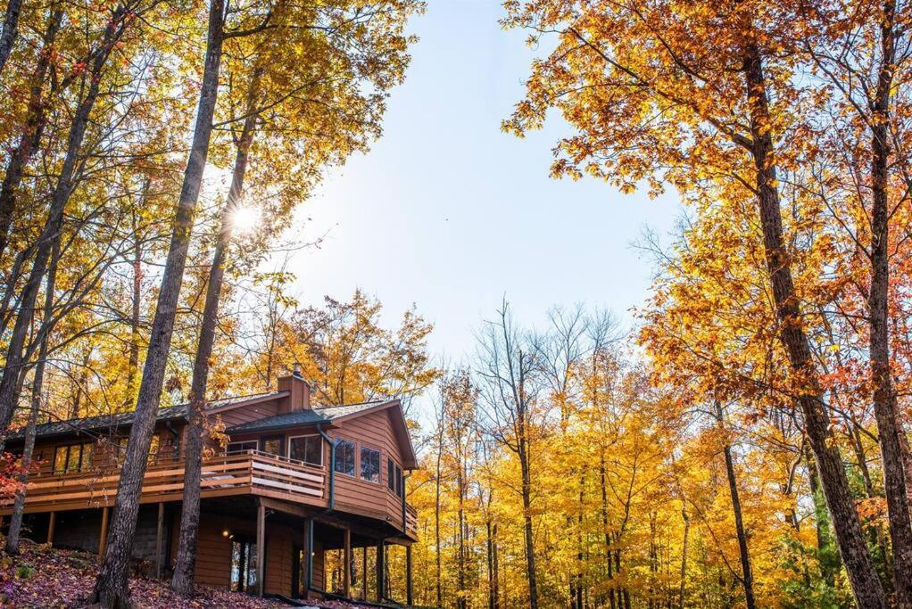 a tree house in the woods in the fall at Fall Getaway Resort-3 KING suites, Dog-Friendly in Seeley