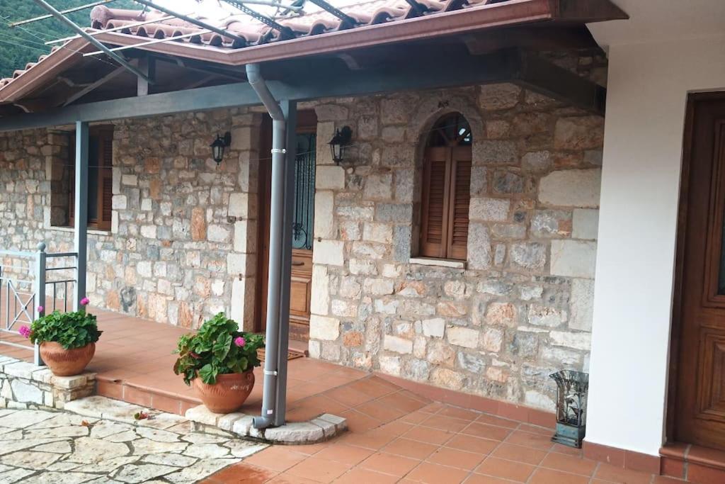 Fotografie z fotogalerie ubytování Ξενώνας Άνθεμις v destinaci Levidhion