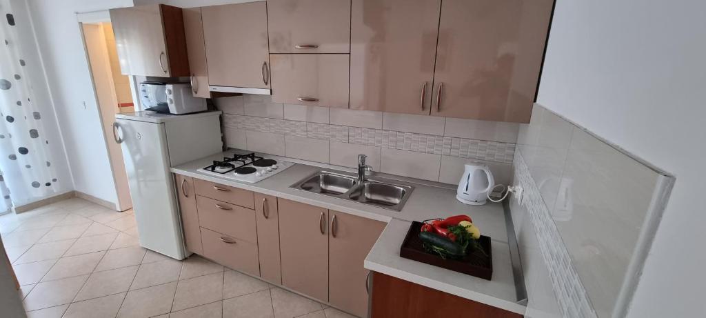 Kuchyňa alebo kuchynka v ubytovaní Apartments Ćosic
