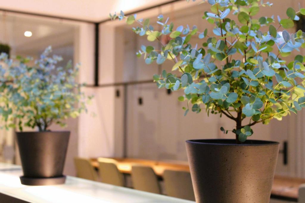 BEE GREEN Linz Self-Check-in-Hotel - Resim 13