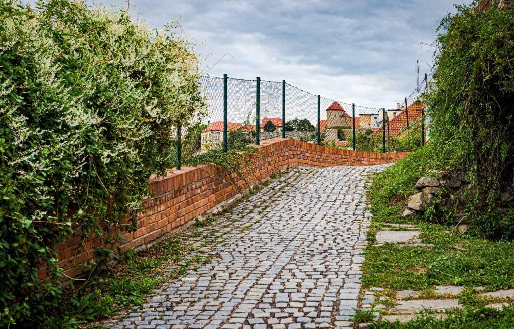 Zahrada ubytování Apartmány NaVyhlídce