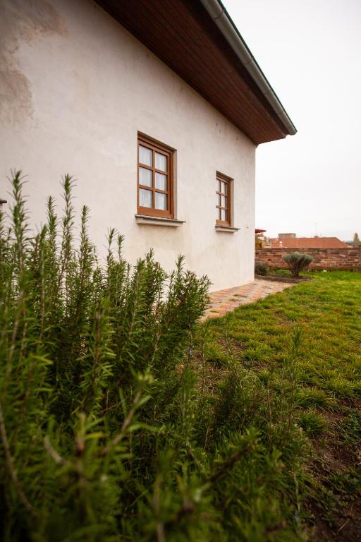 Zahrada ubytování Apartmány NaVyhlídce