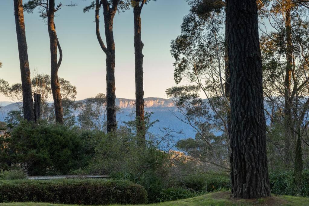 a group of trees with a view of the water at Carramar Estate: 2 homes stunning mountain views in Wentworth Falls