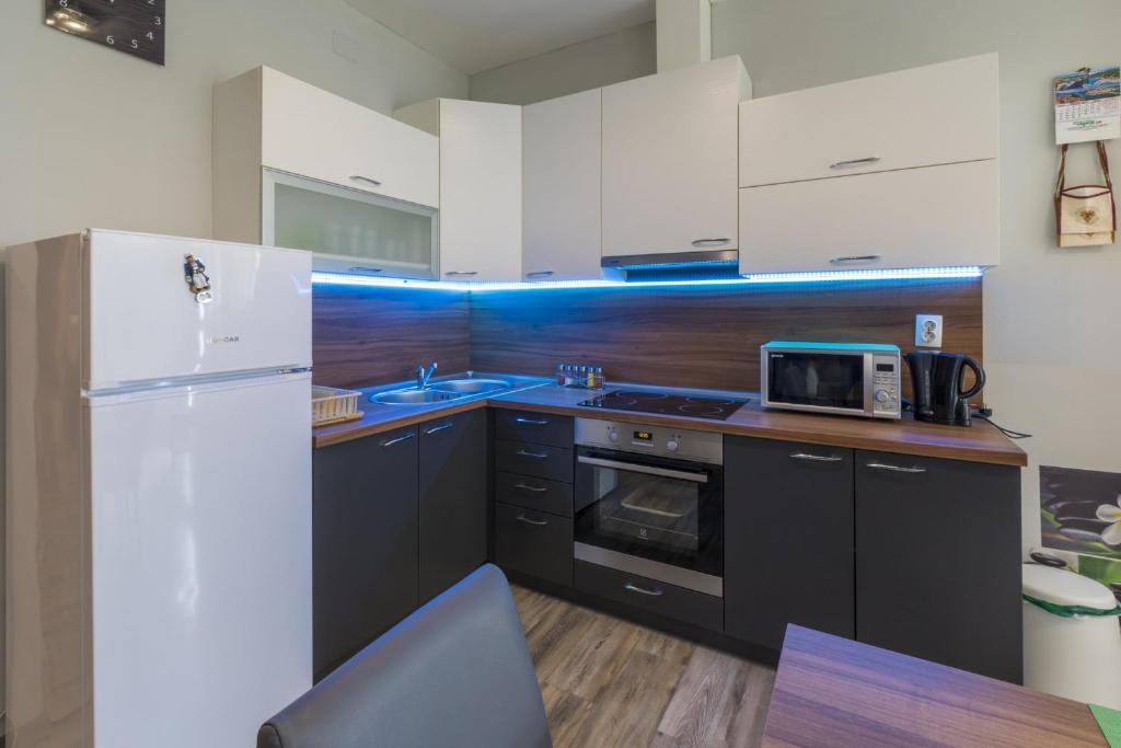 Kuchyň nebo kuchyňský kout v ubytování Apartman Vlatka - Novi Vinodolski