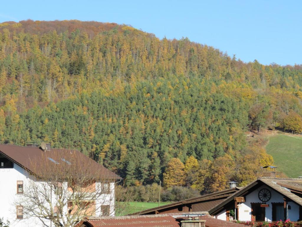a hillside with trees in the background and a house at Traumblick Am Bartelsborn in Kleinern