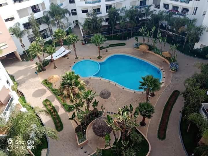 - une vue sur la piscine bordée de palmiers dans l'établissement Comme à la maison 2, à Derroua