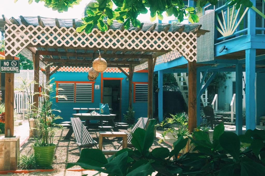 a patio with two chairs and a blue building at Sea n sun Guest House in Caye Caulker