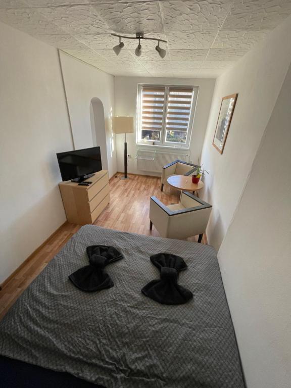 TV a/nebo společenská místnost v ubytování Malý apartmán na Šumavě