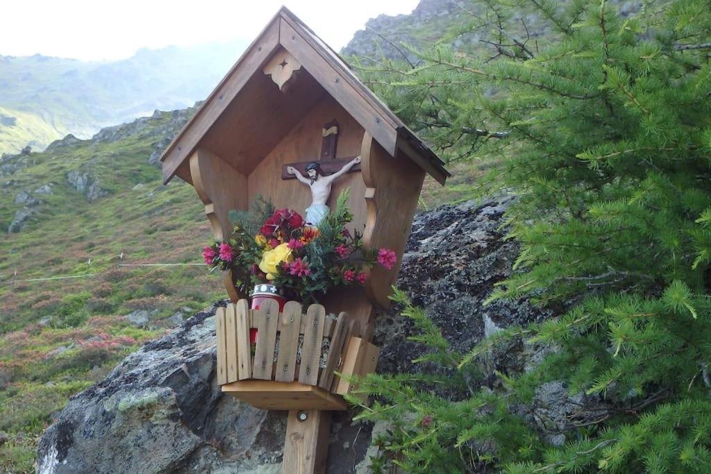 Příroda nedaleko apartmánu