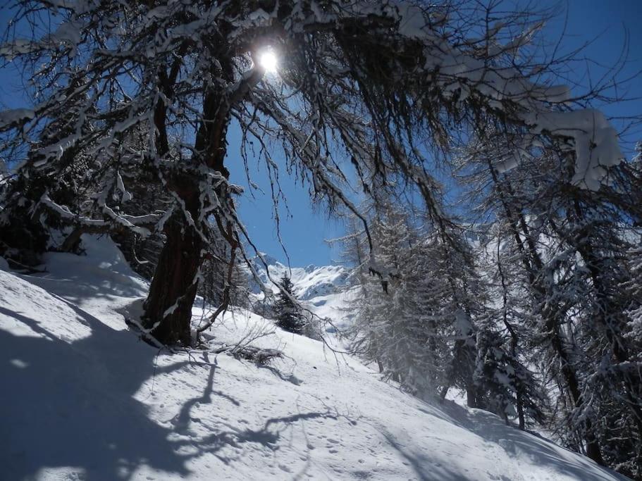 Siegi's Ferienhütte v zimě