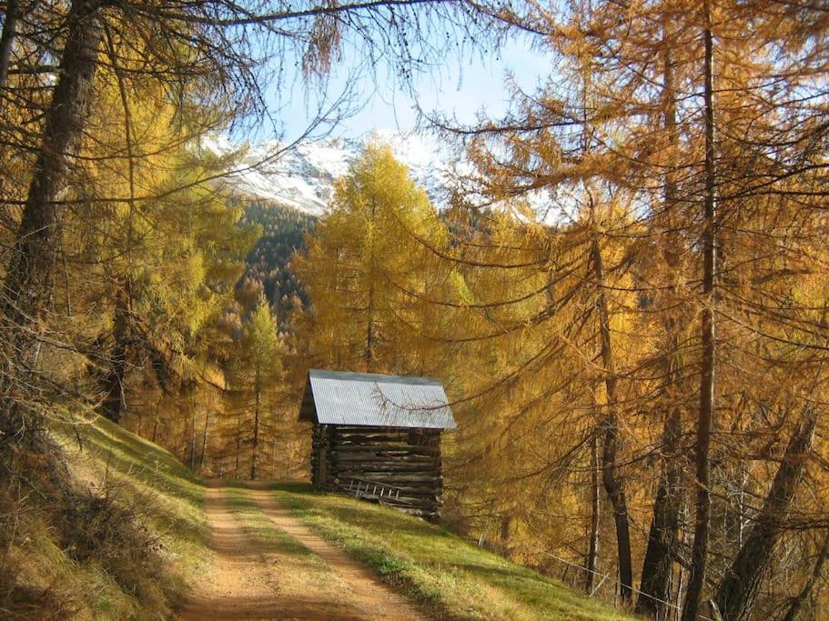 Příroda nedaleko apartmánu