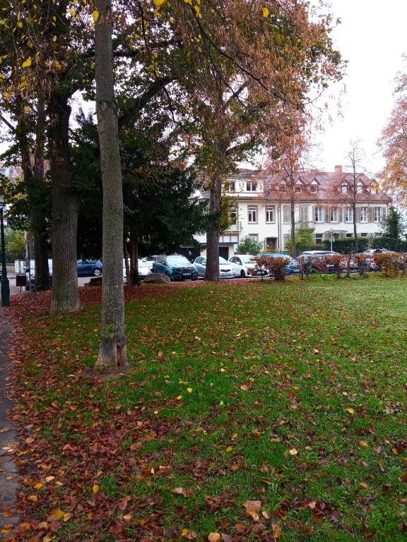 Zahrada ubytování Rare à Colmar - Appartement Champ de Mars vue sur Parc - 70m2 - 2 chambres