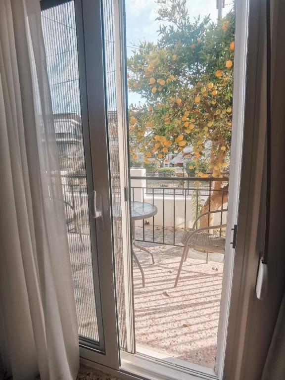 Balkón nebo terasa v ubytování RODIES apartment