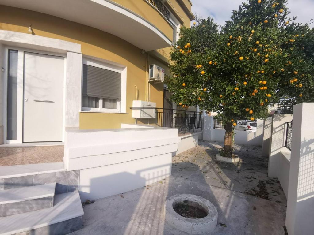 Fotografie z fotogalerie ubytování RODIES apartment v destinaci Chalkis