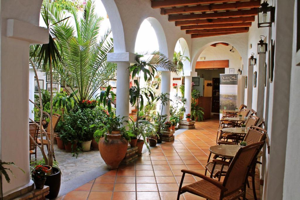 Almadraba Conil في كونيل دي لا فرونتيرا: غرفة بها مجموعة من النباتات والطاولات والكراسي