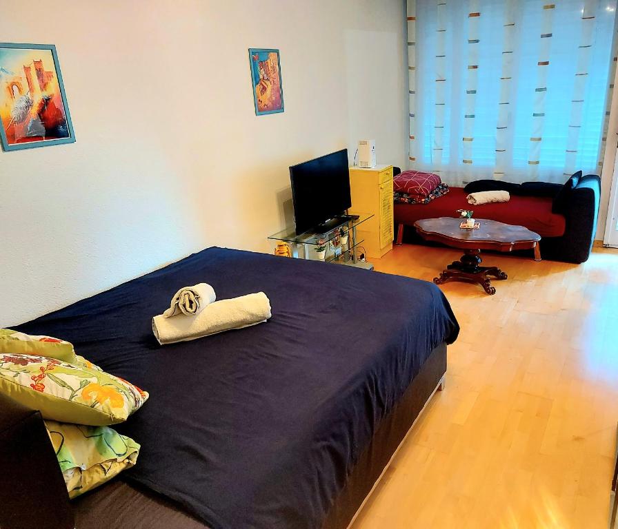 een slaapkamer met een bed en een woonkamer bij Large Apartment Bern City Centre in Bern