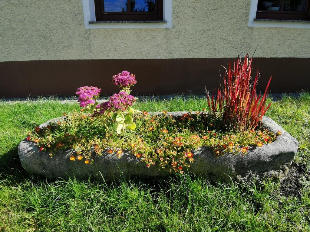 Vonkajšia záhrada v ubytovaní Ferdlhof Ferienwohnung