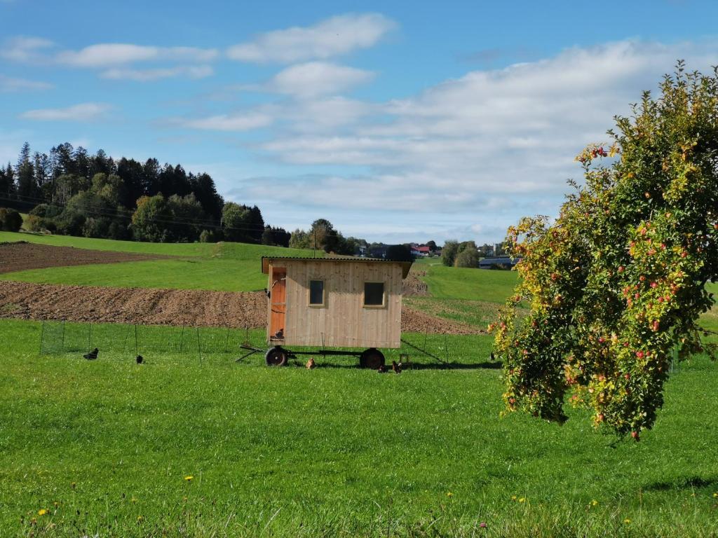 Vonkajšia záhrada v ubytovaní Ferdlhof Ferienwohnung