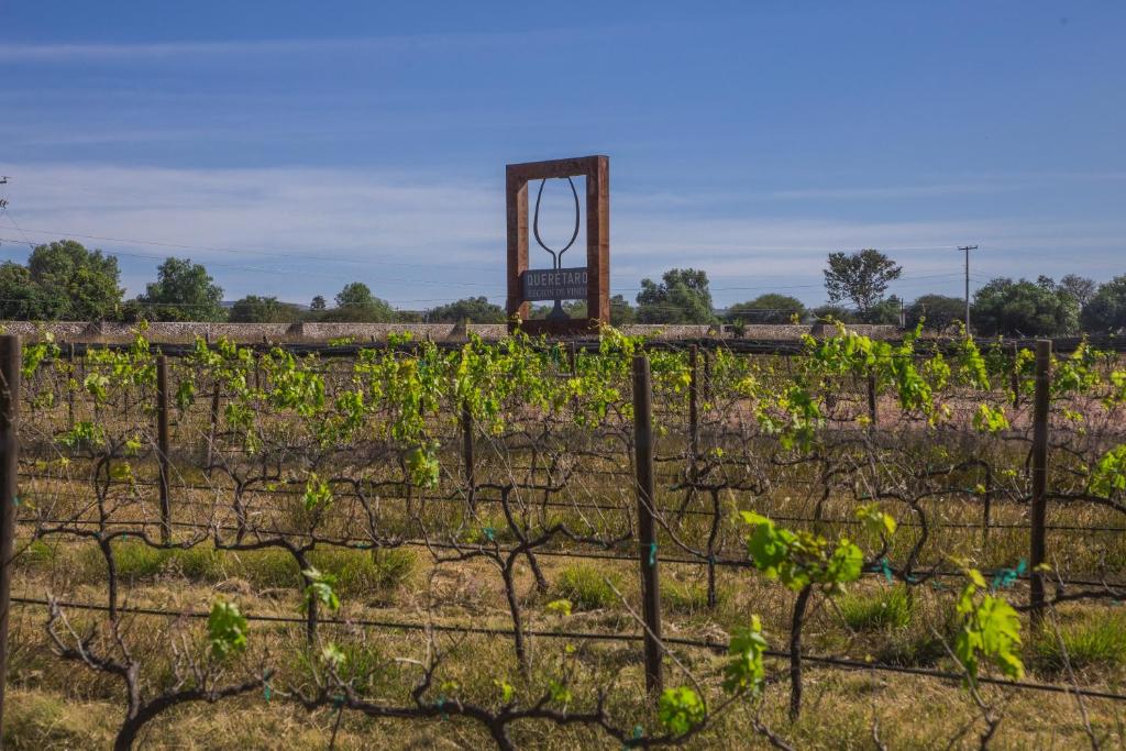 Fotografie z fotogalerie ubytování Hotel de Tierra Viñedo y Spa - Aeropuerto Querétaro v destinaci San Vicente