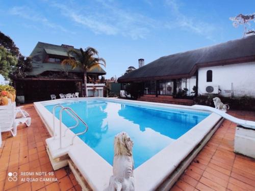 un perro sentado en el borde de una piscina en Palmeras del Verdun en Punta del Este