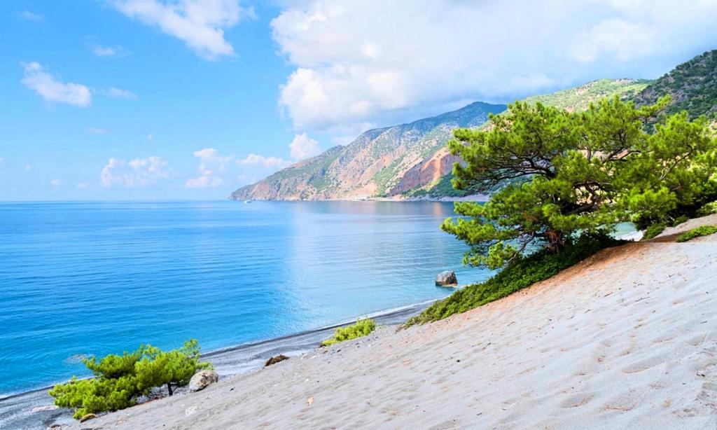 a beach with a tree and a body of water w obiekcie Georgioupolis Blue Villa w mieście Georgioupolis