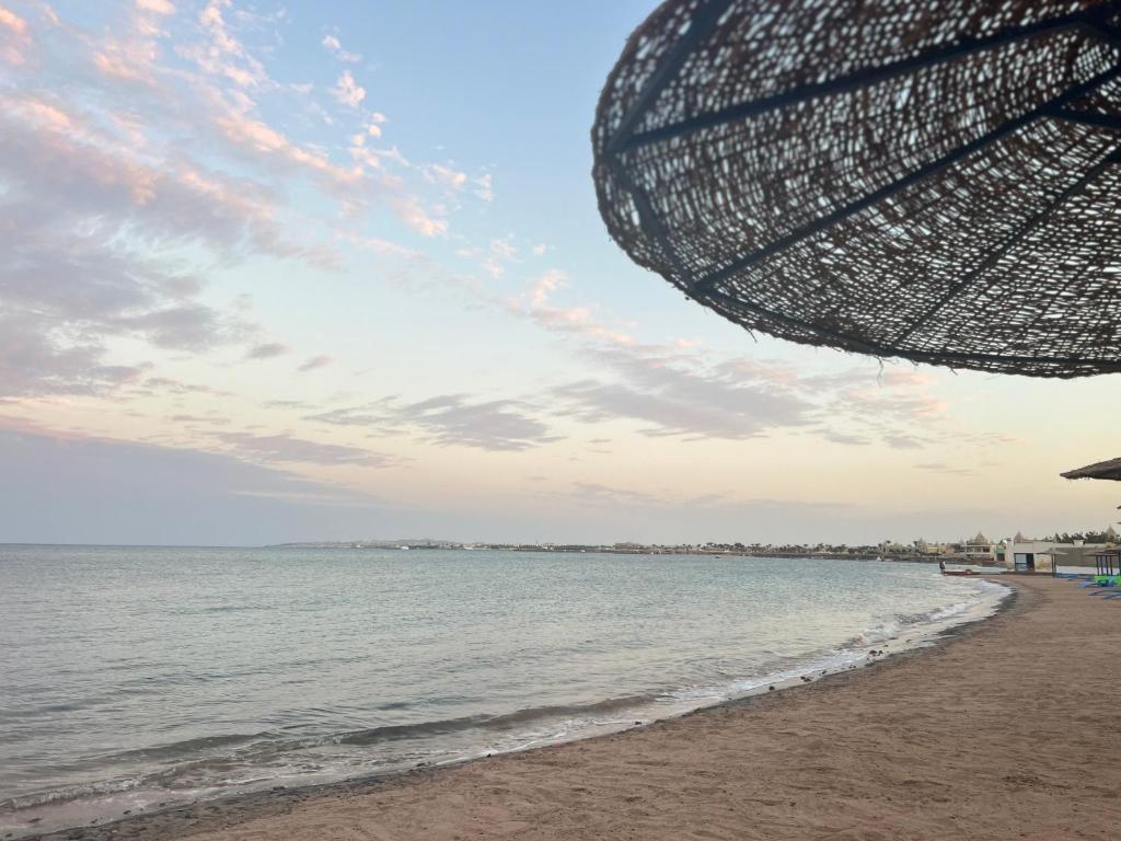 Cecelia resort في الغردقة: شاطئ مع مظلة ومحيط