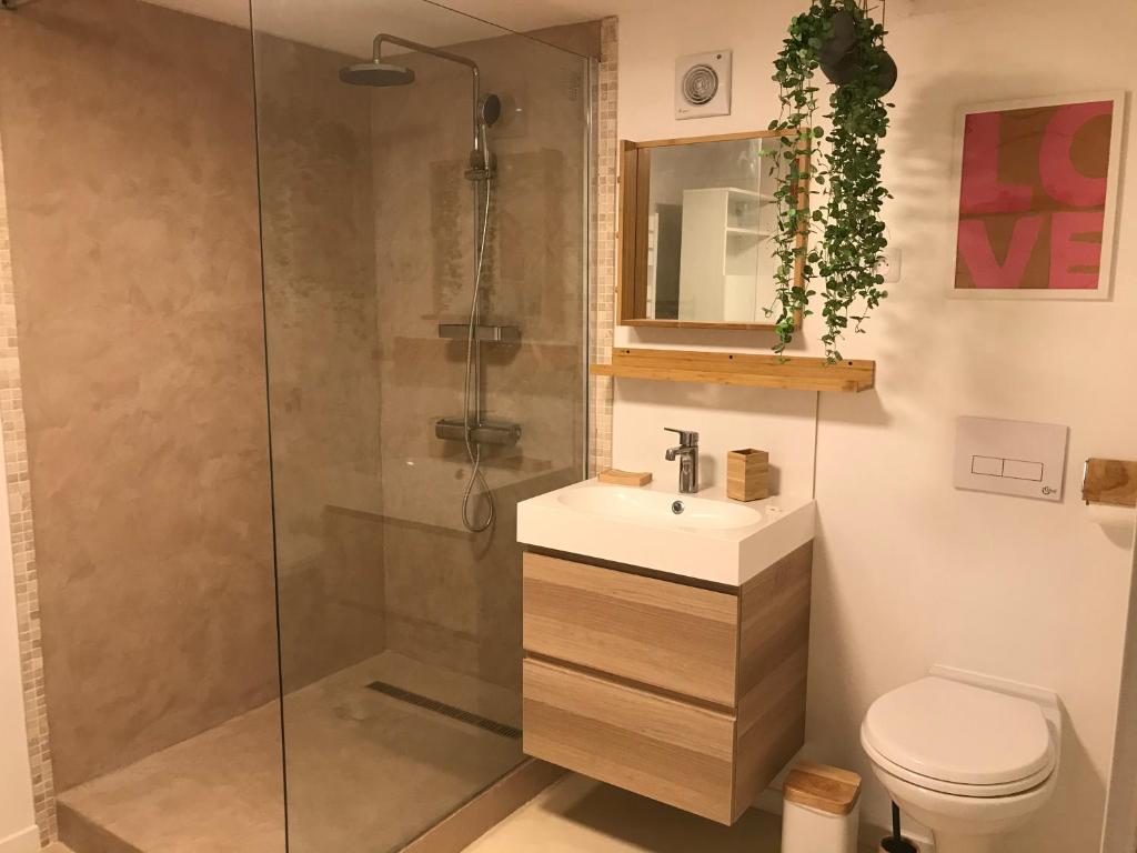 uma casa de banho com um chuveiro, um lavatório e um WC. em Chez Isa, loft 55m2, jardin, vue, parking, entrée autonome em Ceyrat