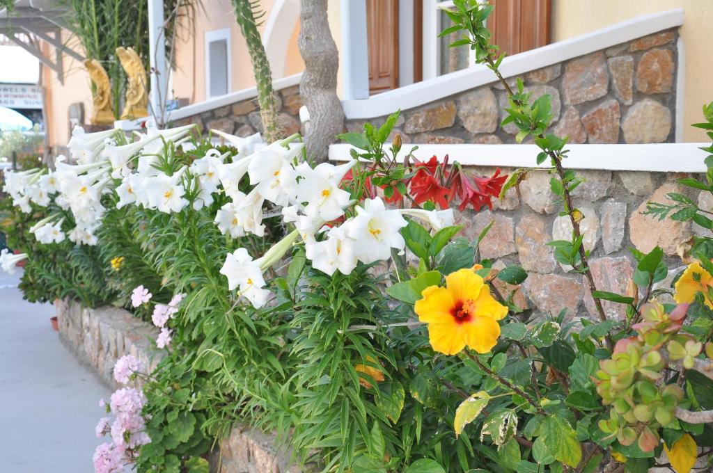 A garden outside Polydefkis Hotel