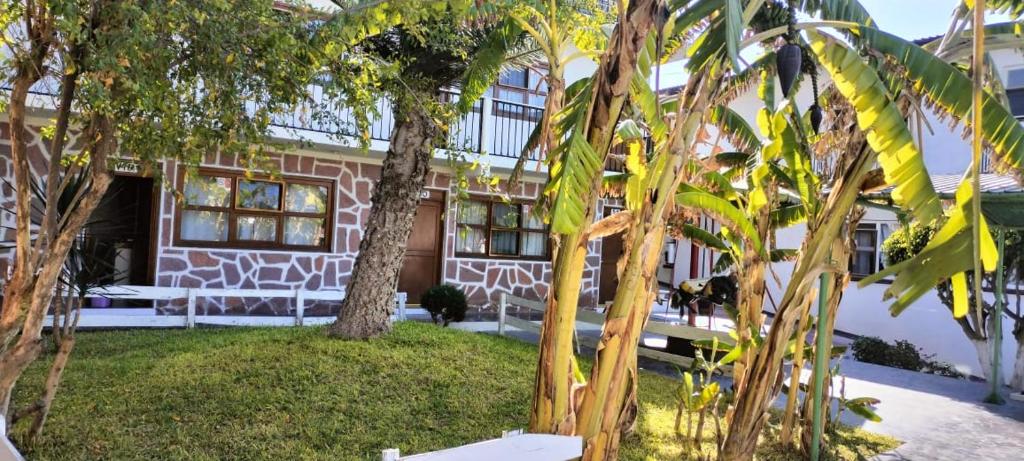 Zahrada ubytování Hotel Avenida Ixmiquilpan