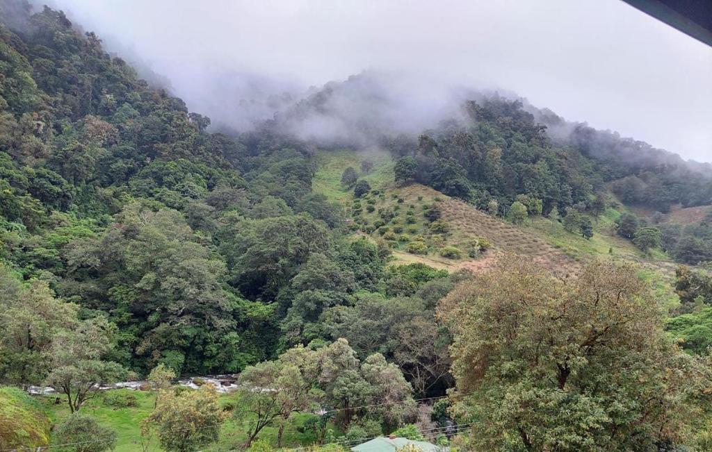 vista su una montagna con alberi e nuvole di Tail's room a San Gerardo de Dota