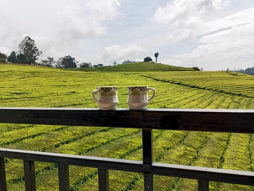 two coffee mugs sitting on a fence looking at a field at Tea Estate view stay in Ooty