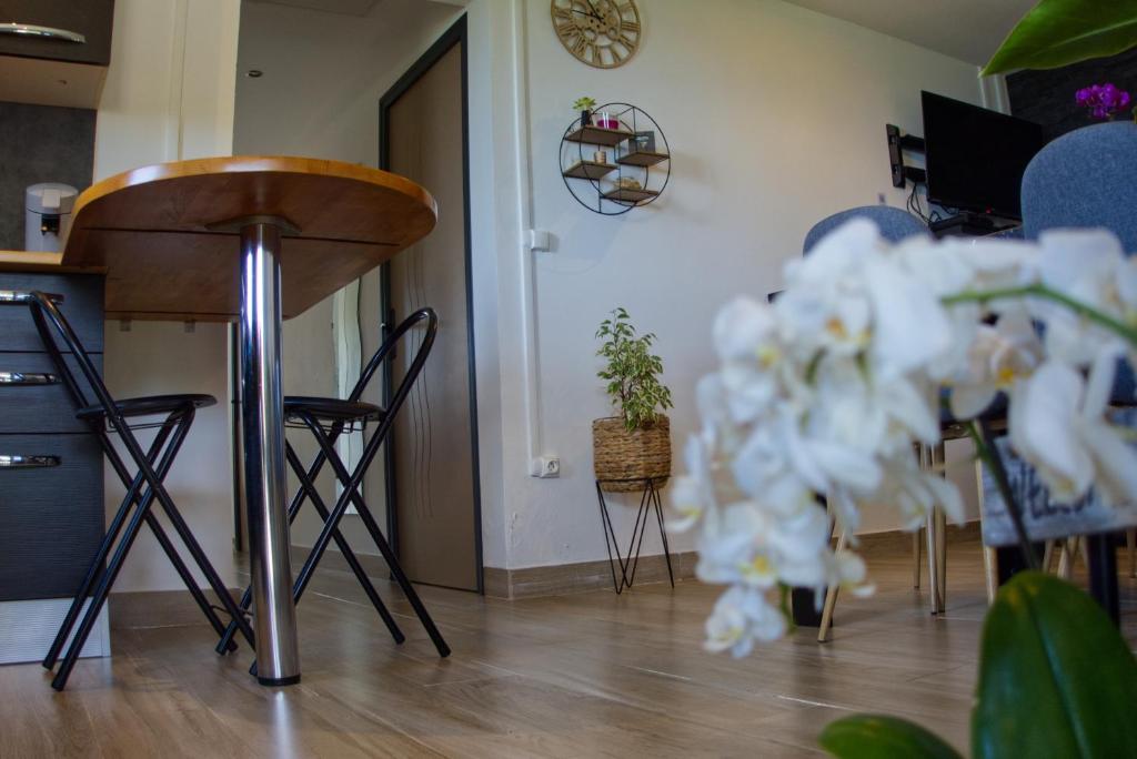 Fotografie z fotogalerie ubytování Ka Hema - Maison entière avec Jacuzzi et vue sur mer v destinaci Saint-Joseph