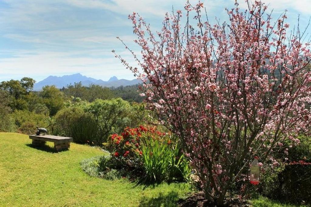Fynbos Garden Cottage - Image 25