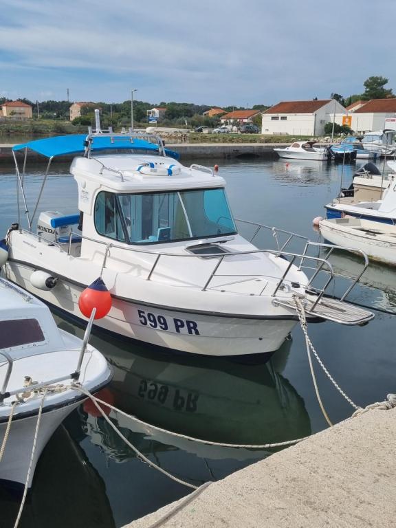 Příroda nedaleko apartmánu