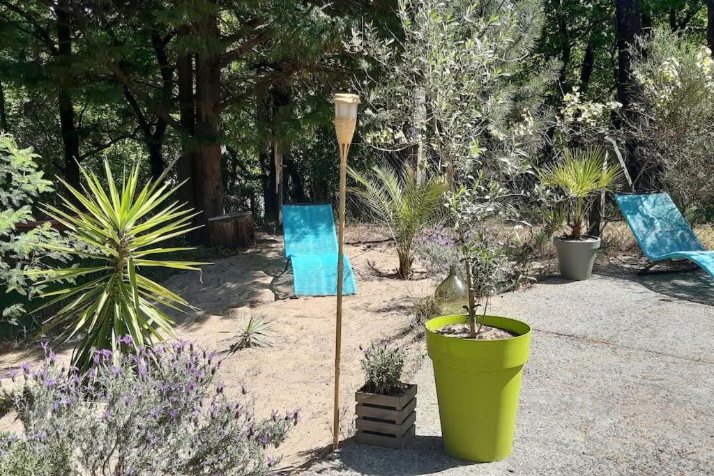 d'un jardin avec des plantes en pot et un éclairage de rue. dans l'établissement Mon petit coin sous les pins, à La Teste-de-Buch