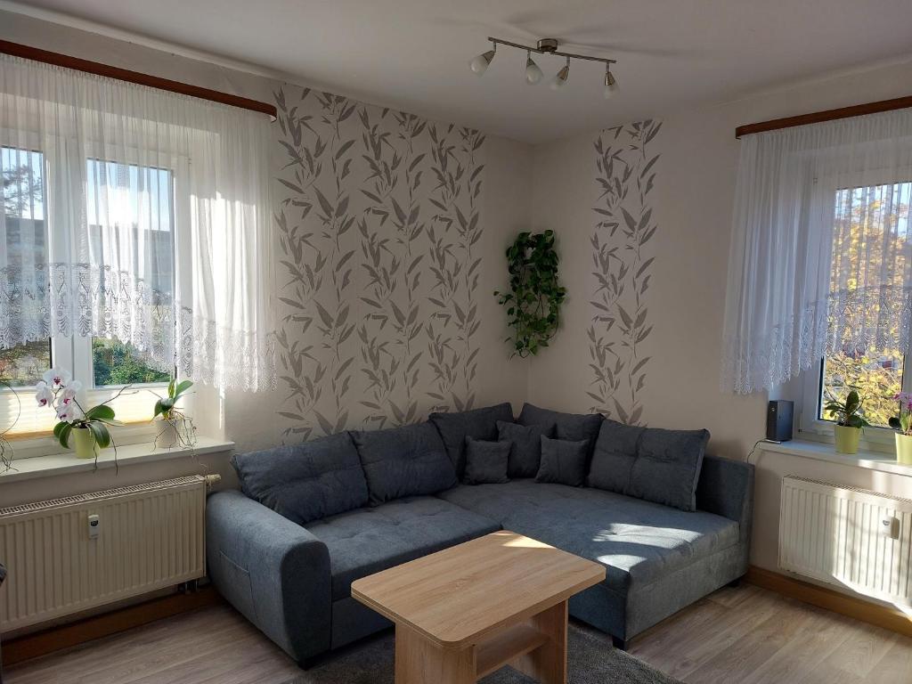 ein Wohnzimmer mit einem blauen Sofa und Fenstern in der Unterkunft Ferienwohnung Lehmann in Pirna