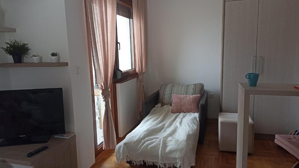 TV a/nebo společenská místnost v ubytování ZLATIBORSKI KONACI K3 apartman16