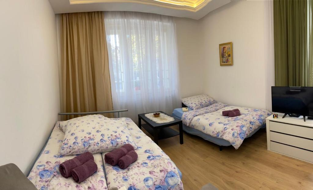Cette chambre comprend 2 lits et une télévision. dans l'établissement Apartment Top Diplomat, à Prague