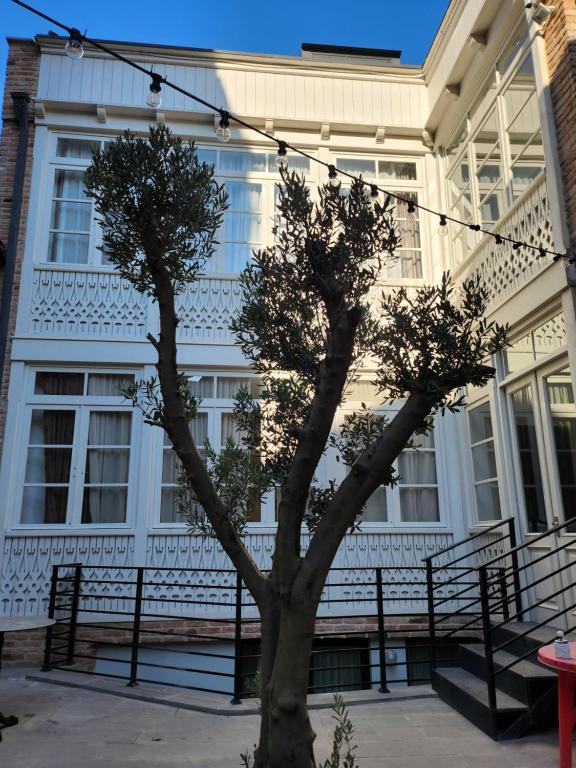 Old Gold Anteon في تبليسي: شجرة أمام مبنى أبيض