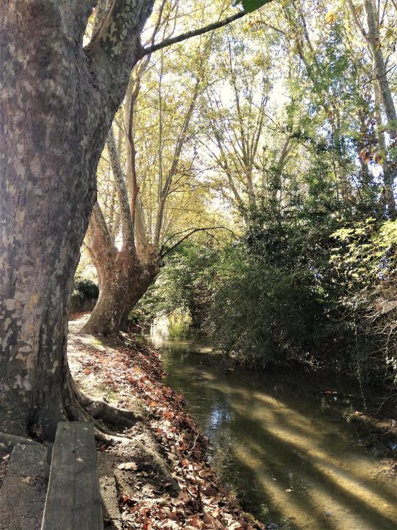 Appartement sous les remparts - 19