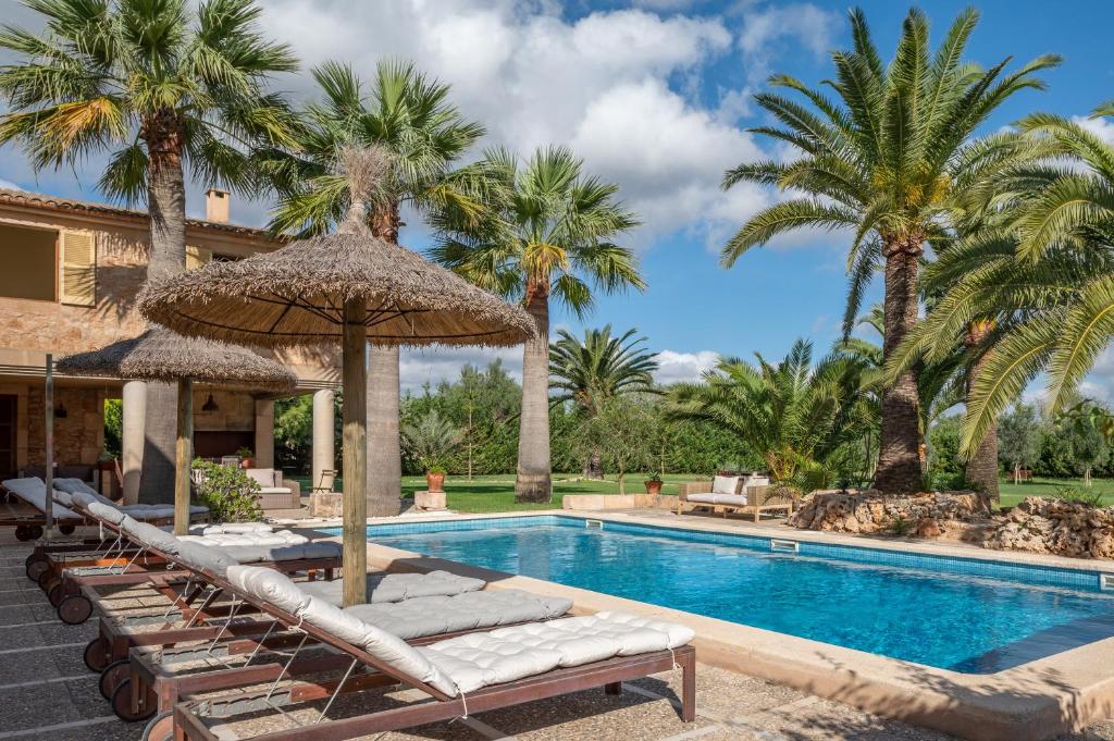 a pool with lounge chairs and umbrellas and palm trees at Villa sa Palmera in Ses Salines