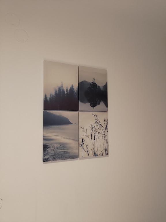 Fotografie z fotogalerie ubytování Apartmán 206 Žalý na Benecku