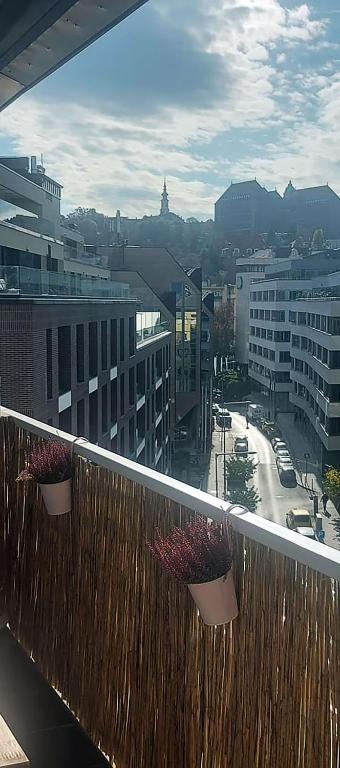 Výhľad na hory alebo výhľad na hory priamo z apartmánu
