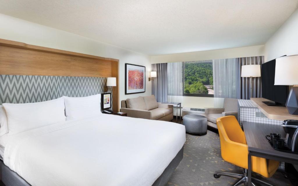 Holiday Inn Asheville East-Blue Ridge Pkwy, an IHG Hotel - 