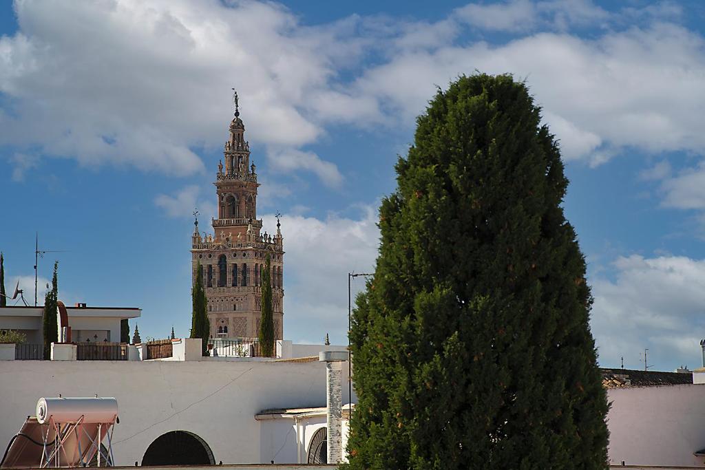 una torre del reloj alta con un árbol delante de un edificio en Apartamento Casa Pilatos, en Sevilla