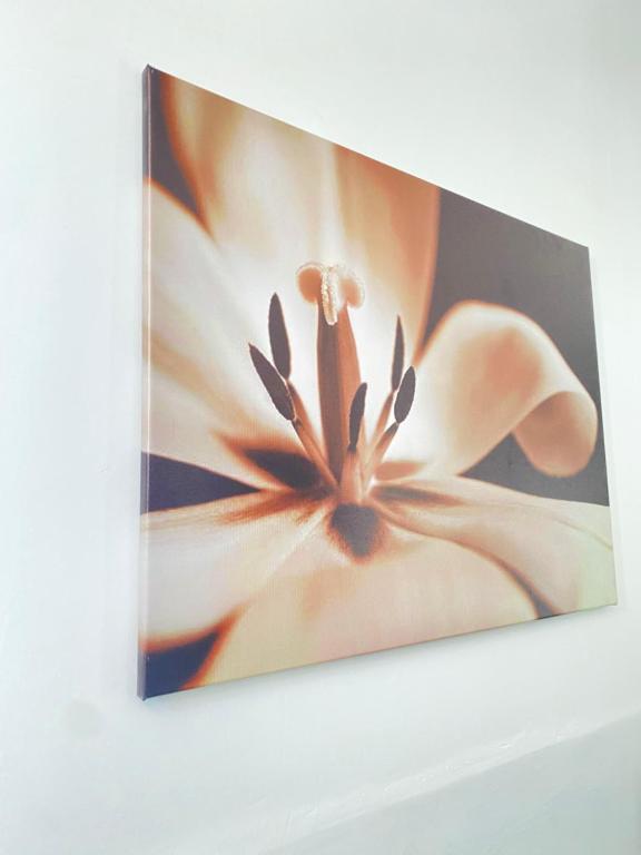 Fotografie z fotogalerie ubytování Best Rooms - Quarto 1 Plateau v destinaci Praia