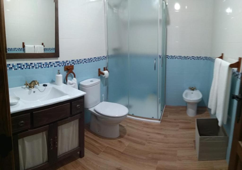 a bathroom with a shower and a toilet and a sink at LA QUEDADA DE NAVA in Nava del Rey